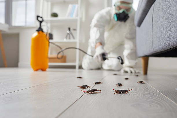 Commercial Kitchen Cockroach Control in Airport